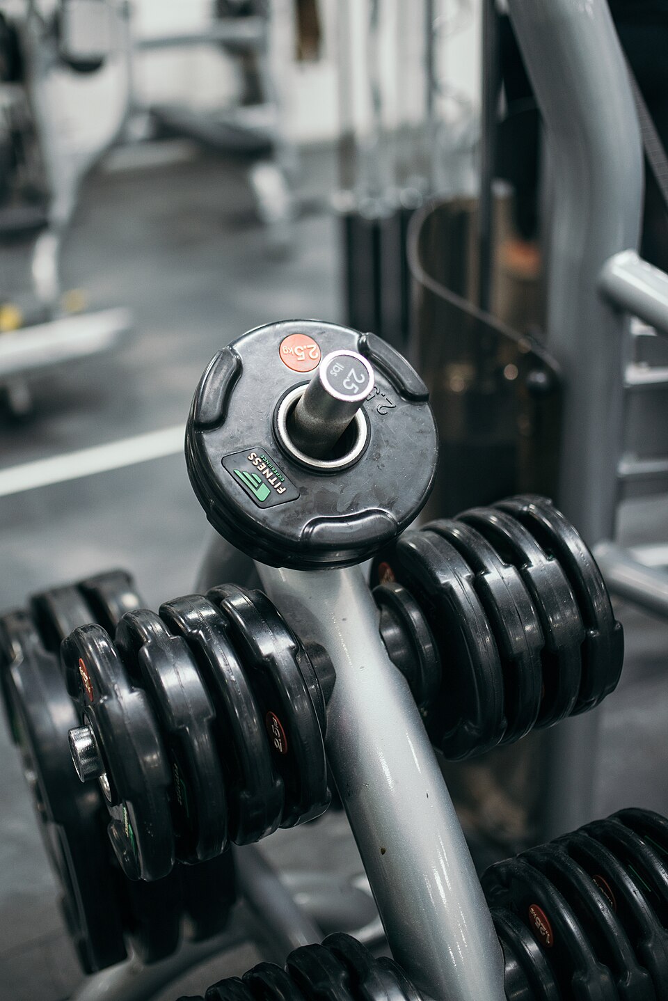 Rows of black dumbbells on a rack in a gym
